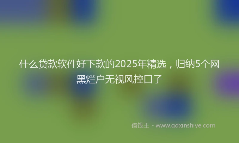 什么贷款软件好下款的2025年精选，归纳5个网黑烂户无视风控口子