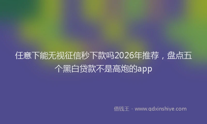任意下能无视征信秒下款吗2026年推荐，盘点五个黑白贷款不是高炮的app