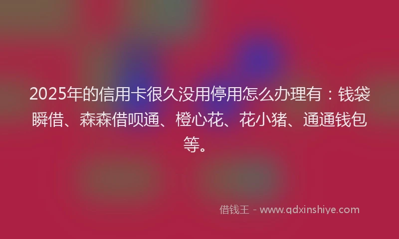 2025年的信用卡很久没用停用怎么办理有:钱袋瞬借、森森借呗通、橙心花、花小猪、通通钱包等。