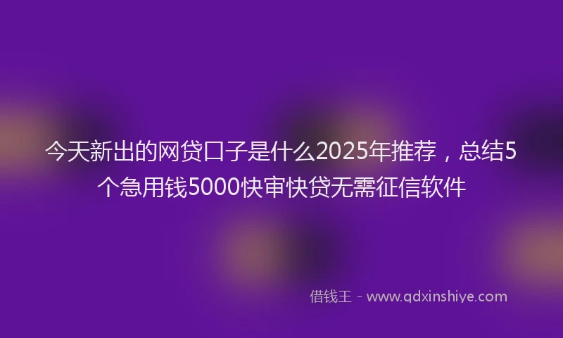 今天新出的网贷口子是什么2025年推荐，总结5个急用钱5000快审快贷无需征信软件