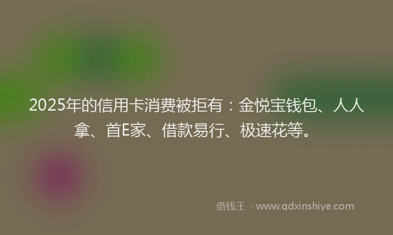 2025年的信用卡消费被拒有：金悦宝钱包、人人拿、首E家、借款易行、极速花等。