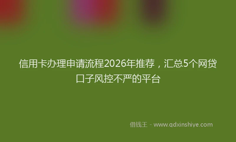 信用卡办理申请流程2026年推荐，汇总5个网贷口子风控不严的平台