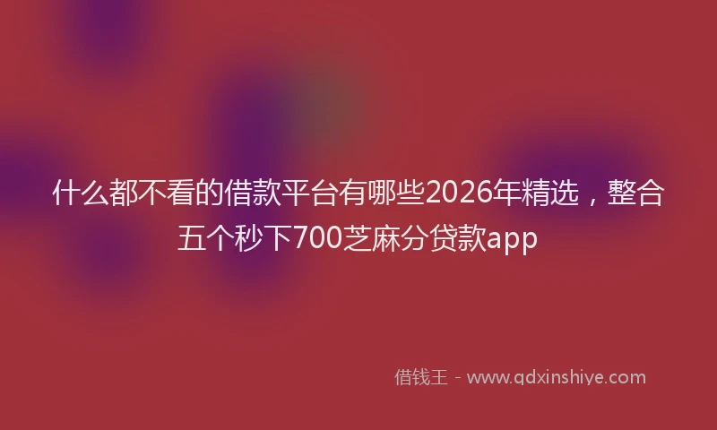 什么都不看的借款平台有哪些2026年精选，整合五个秒下700芝麻分贷款app