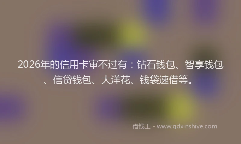 2026年的信用卡审不过有：钻石钱包、智享钱包、信贷钱包、大洋花、钱袋速借等。