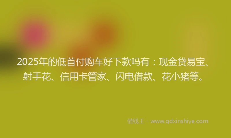 2025年的低首付购车好下款吗有：现金贷易宝、射手花、信用卡管家、闪电借款、花小猪等。