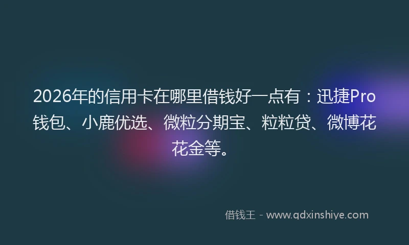2026年的信用卡在哪里借钱好一点有：迅捷Pro钱包、小鹿优选、微粒分期宝、粒粒贷、微博花花金等。