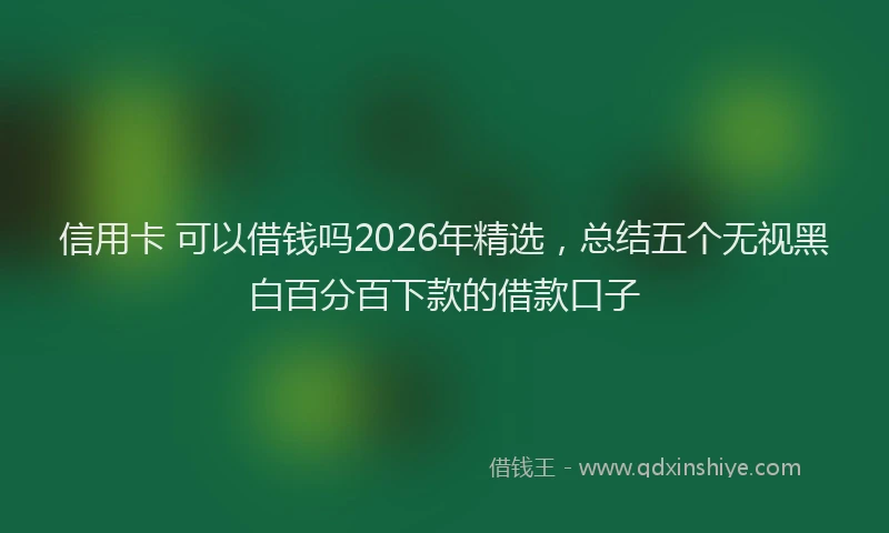 信用卡 可以借钱吗2026年精选，总结五个无视黑白百分百下款的借款口子