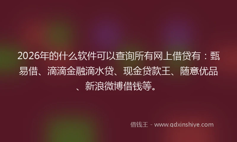 2026年的什么软件可以查询所有网上借贷有：甄易借、滴滴金融滴水贷、现金贷款王、随意优品、新浪微博借钱等。