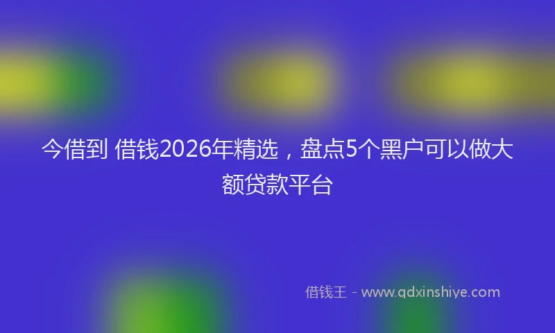 今借到 借钱2026年精选，盘点5个黑户可以做大额贷款平台