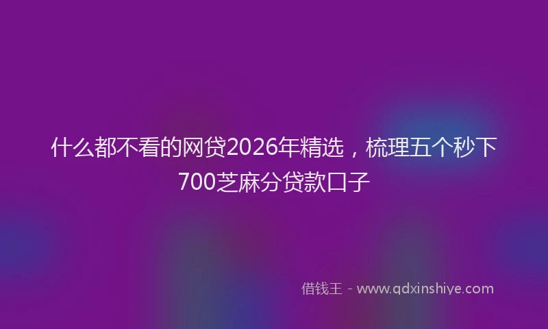 什么都不看的网贷2026年精选，梳理五个秒下700芝麻分贷款口子
