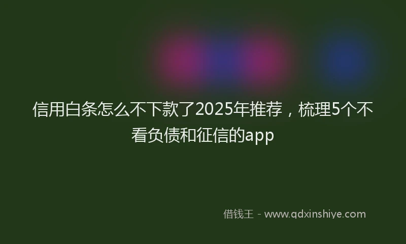 信用白条怎么不下款了2025年推荐，梳理5个不看负债和征信的app