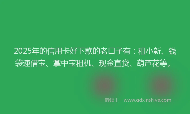 2025年的信用卡好下款的老口子有：租小新、钱袋速借宝、掌中宝租机、现金直贷、葫芦花等。