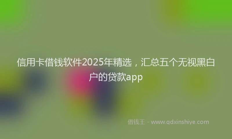 信用卡借钱软件2025年精选，汇总五个无视黑白户的贷款app