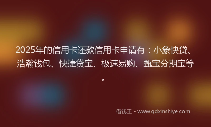 2025年的信用卡还款信用卡申请有：小象快贷、浩瀚钱包、快捷贷宝、极速易购、甄宝分期宝等。