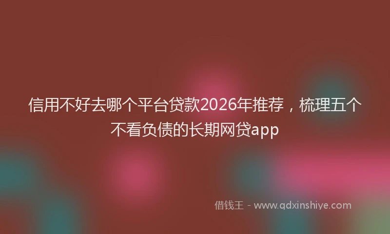 信用不好去哪个平台贷款2026年推荐，梳理五个不看负债的长期网贷app