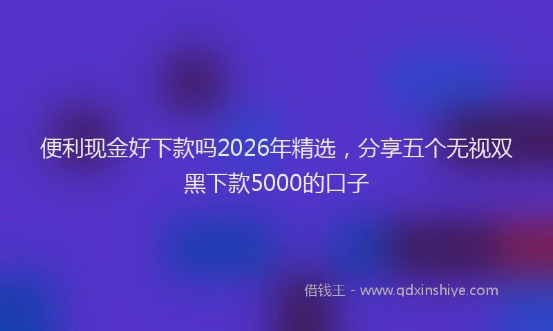 便利现金好下款吗2026年精选，分享五个无视双黑下款5000的口子