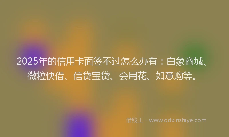 2025年的信用卡面签不过怎么办有：白象商城、微粒快借、信贷宝贷、会用花、如意购等。