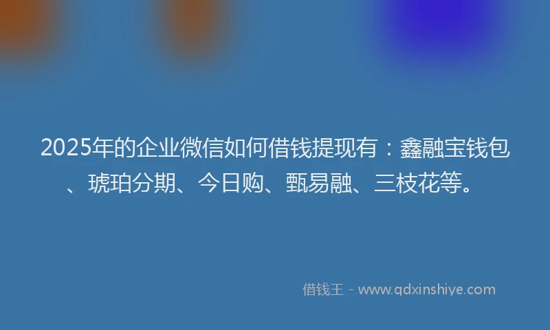 2025年的企业微信如何借钱提现有：鑫融宝钱包、琥珀分期、今日购、甄易融、三枝花等。