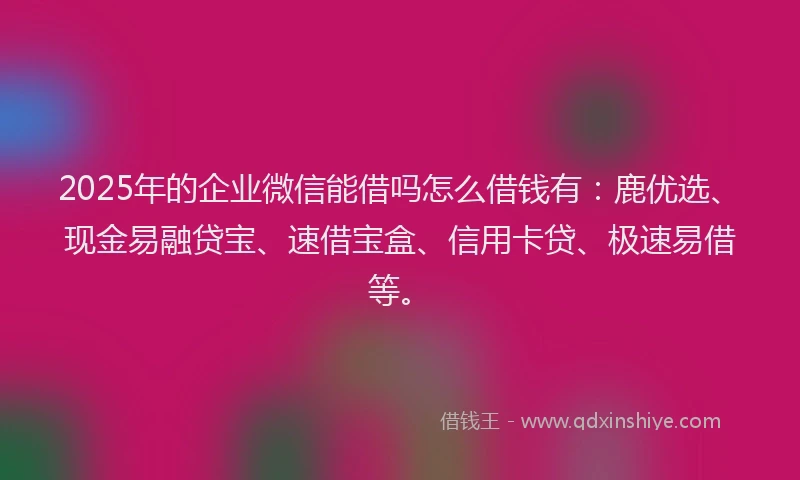 2025年的企业微信能借吗怎么借钱有：鹿优选、现金易融贷宝、速借宝盒、信用卡贷、极速易借等。
