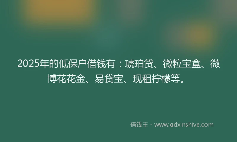 2025年的低保户借钱有：琥珀贷、微粒宝盒、微博花花金、易贷宝、现租柠檬等。