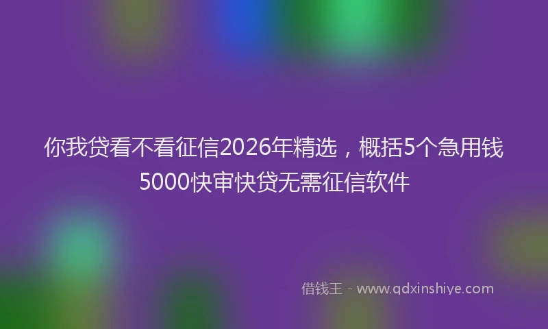 你我贷看不看征信2026年精选，概括5个急用钱5000快审快贷无需征信软件