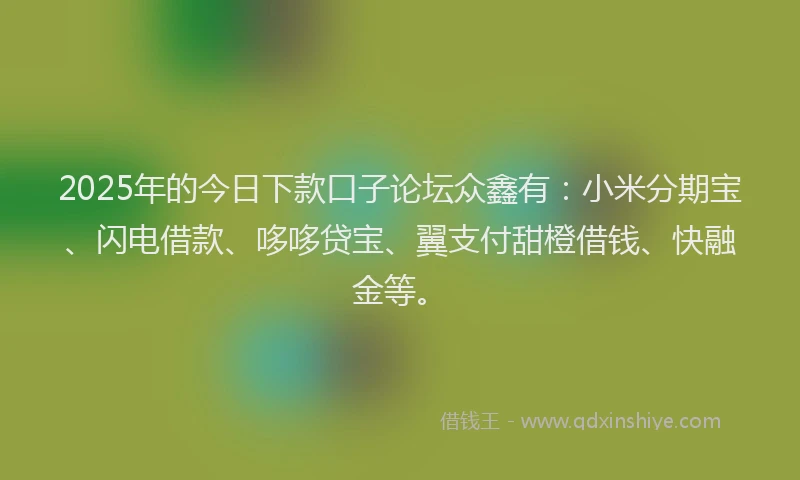 2025年的今日下款口子论坛众鑫有：小米分期宝、闪电借款、哆哆贷宝、翼支付甜橙借钱、快融金等。