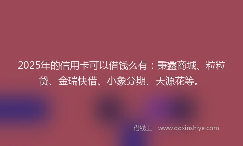 2025年的信用卡可以借钱么有：秉鑫商城、粒粒贷、金瑞快借、小象分期、天源花等。