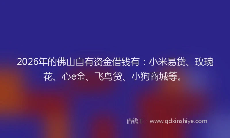 2026年的佛山自有资金借钱有：小米易贷、玫瑰花、心e金、飞鸟贷、小狗商城等。