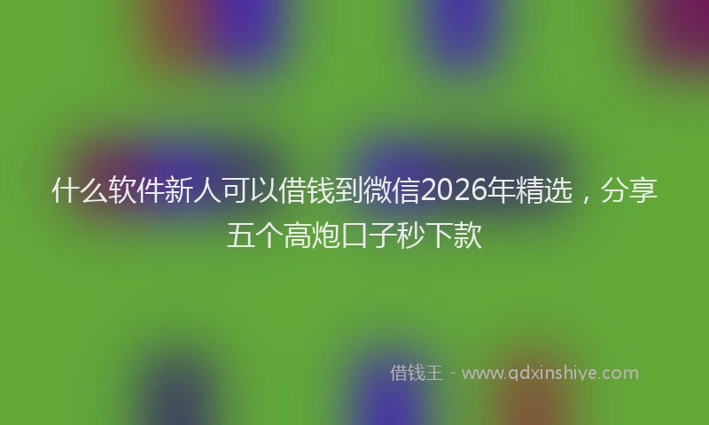什么软件新人可以借钱到微信2026年精选,分享五个高炮口子秒下款