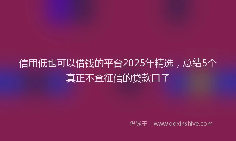 信用低也可以借钱的平台2025年精选,总结5个真正不查征信的贷款口子