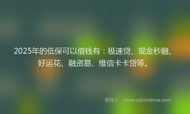 2025年的低保可以借钱有：极速贷、现金秒融、好运花、融资易、维信卡卡贷等。