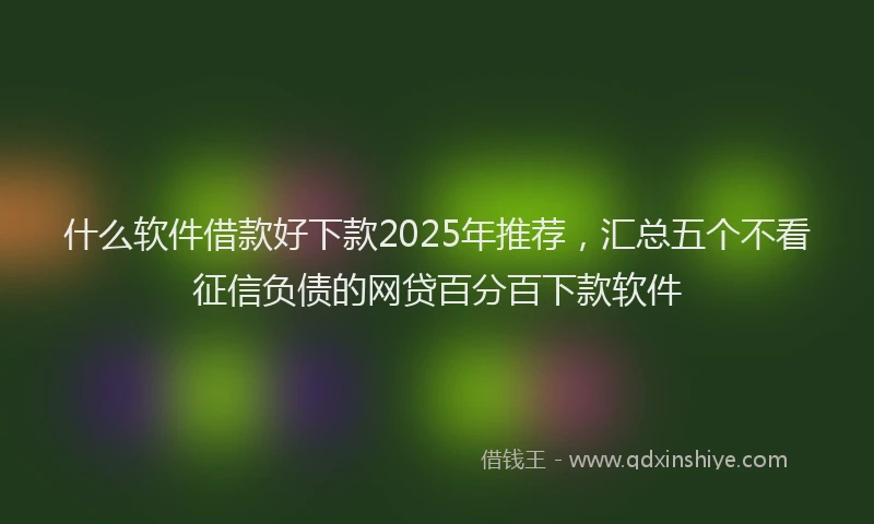 什么软件借款好下款2025年推荐，汇总五个不看征信负债的网贷百分百下款软件
