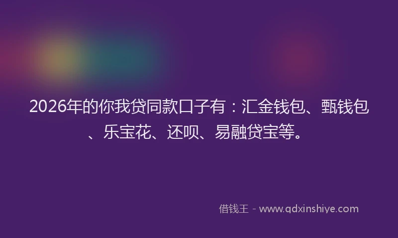 2026年的你我贷同款口子有：汇金钱包、甄钱包、乐宝花、还呗、易融贷宝等。