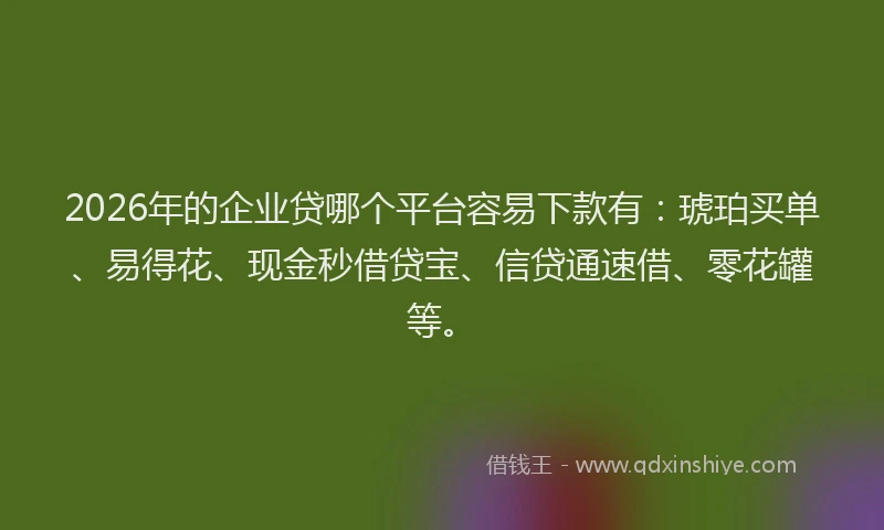 2026年的企业贷哪个平台容易下款有：琥珀买单、易得花、现金秒借贷宝、信贷通速借、零花罐等。
