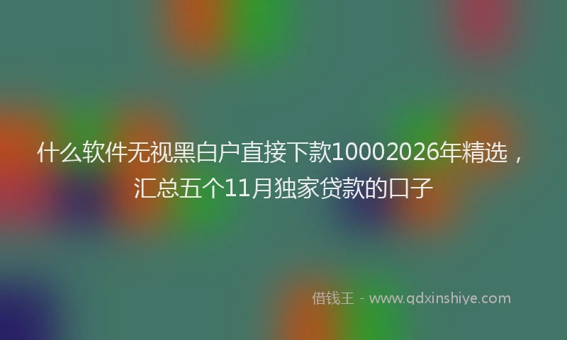 什么软件无视黑白户直接下款10002026年精选，汇总五个11月独家贷款的口子
