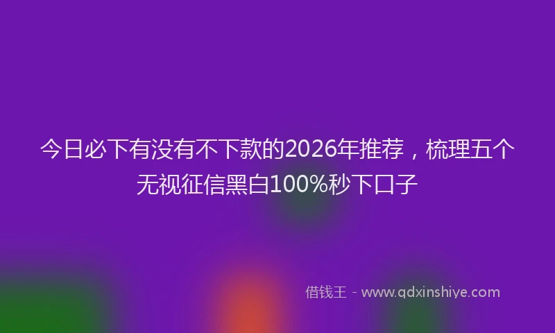 今日必下有没有不下款的2026年推荐，梳理五个无视征信黑白100%秒下口子