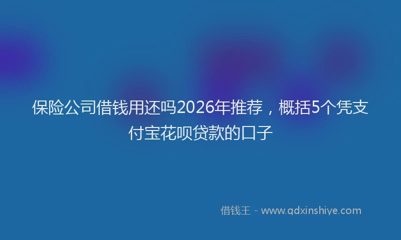 保险公司借钱用还吗2026年推荐，概括5个凭支付宝花呗贷款的口子