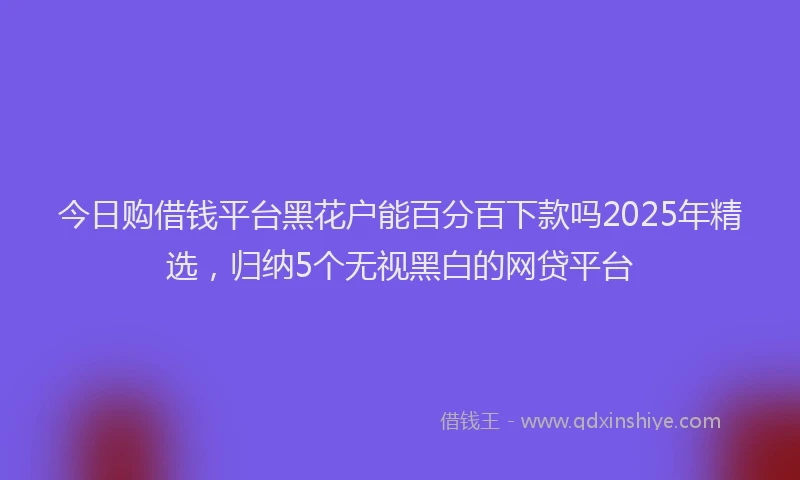 今日购借钱平台黑花户能百分百下款吗2025年精选，归纳5个无视黑白的网贷平台