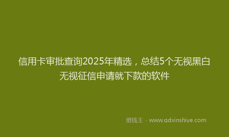 信用卡审批查询2025年精选，总结5个无视黑白无视征信申请就下款的软件