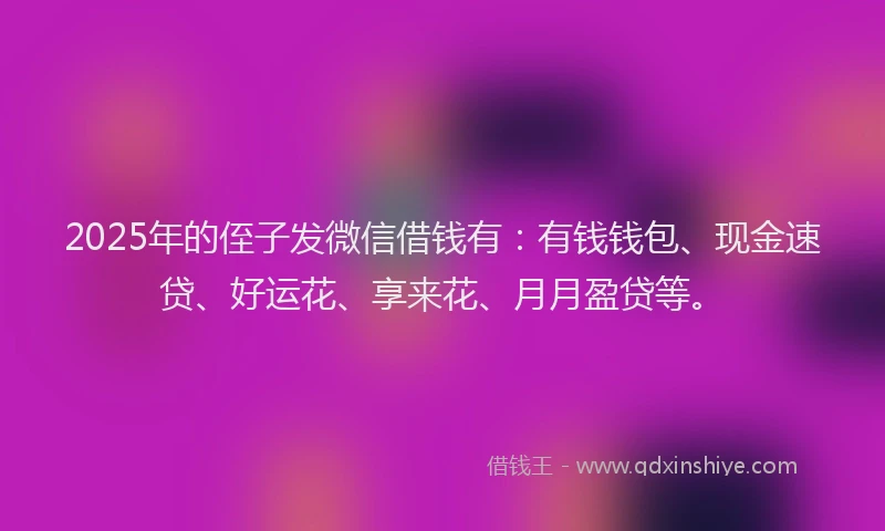 2025年的侄子发微信借钱有：有钱钱包、现金速贷、好运花、享来花、月月盈贷等。