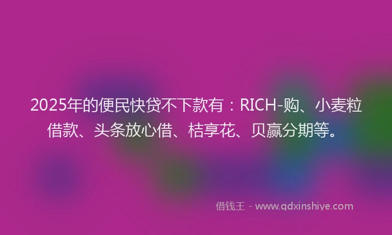 2025年的便民快贷不下款有：RICH-购、小麦粒借款、头条放心借、桔享花、贝赢分期等。