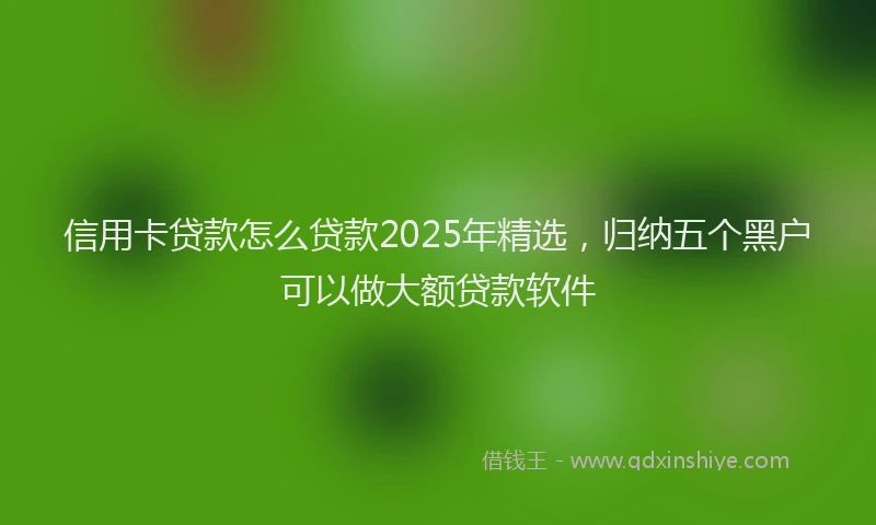 信用卡贷款怎么贷款2025年精选,归纳五个黑户可以做大额贷款软件