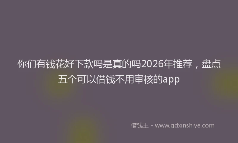 你们有钱花好下款吗是真的吗2026年推荐，盘点五个可以借钱不用审核的app
