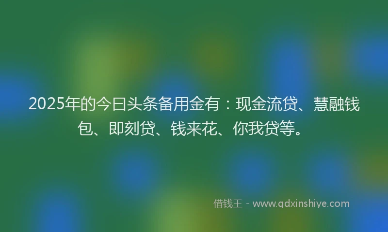 2025年的今曰头条备用金有：现金流贷、慧融钱包、即刻贷、钱来花、你我贷等。