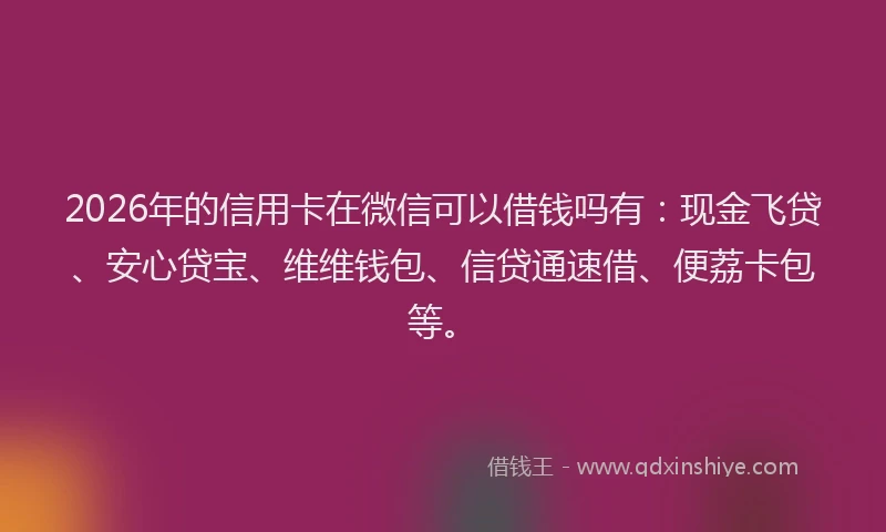2026年的信用卡在微信可以借钱吗有:现金飞贷、安心贷宝、维维钱包、信贷通速借、便荔卡包等。