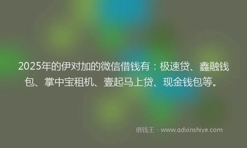 2025年的伊对加的微信借钱有：极速贷、鑫融钱包、掌中宝租机、壹起马上贷、现金钱包等。