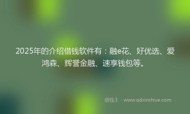 2025年的介绍借钱软件有：融e花、好优选、爱鸿森、辉誉金融、速享钱包等。
