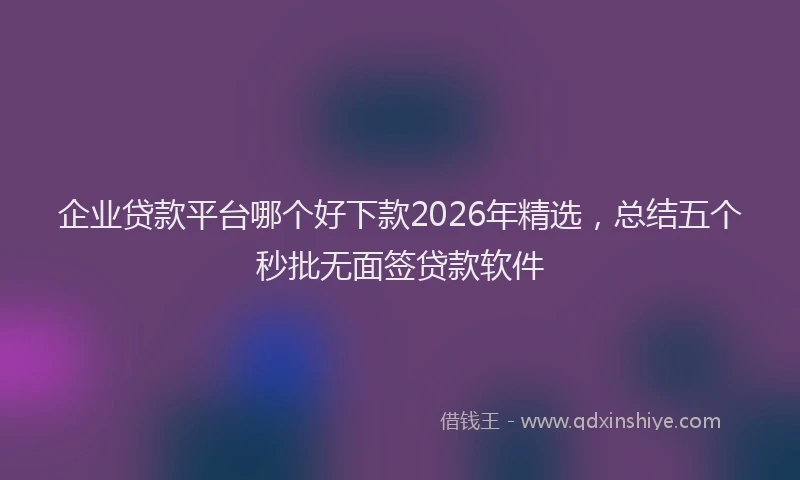 企业贷款平台哪个好下款2026年精选，总结五个秒批无面签贷款软件