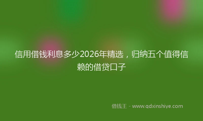 信用借钱利息多少2026年精选，归纳五个值得信赖的借贷口子