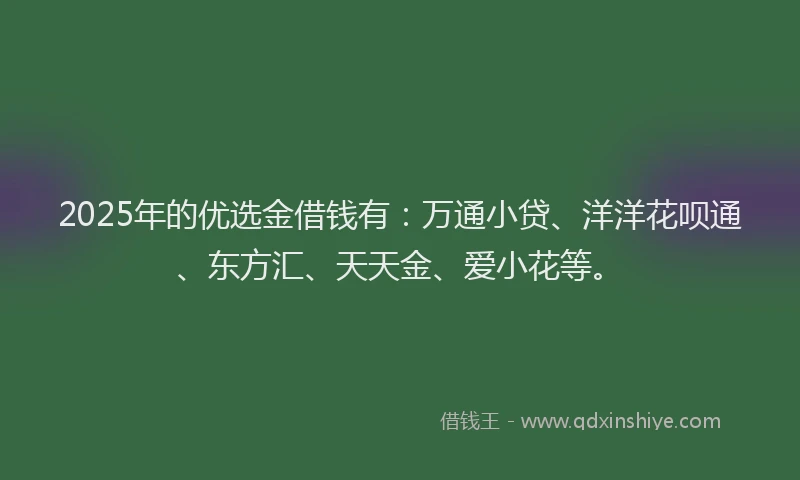 2025年的优选金借钱有:万通小贷、洋洋花呗通、东方汇、天天金、爱小花等。